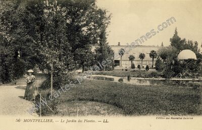 Carte postale ancienne Le Jardin des Plantes — Montpellier (Hérault)