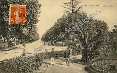 Carte postale ancienne L'Esplanade — Montpellier (Hérault)