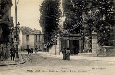 Carte postale ancienne Jardin des Plantes - Entrée principale — Montpellier (Hérault)
