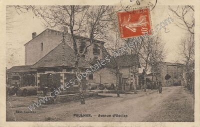 Carte postale ancienne Avenue d'Usclas — Paulhan (Hérault)