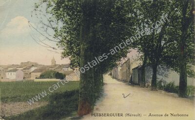Carte postale ancienne Avenue de Narbonne — Puisserguier (Hérault)
