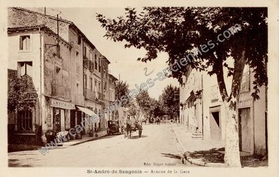 Carte postale ancienne Avenue de la Gare — Saint-André-de-Sangonis (Hérault)