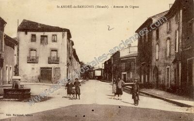 Carte postale ancienne Avenue de Gignac — Saint-André-de-Sangonis (Hérault)
