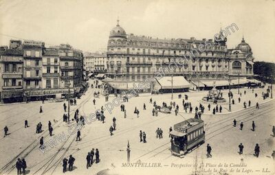 Carte postale ancienne Perspective de la Place de la Comédie et de la Rue de la Loge — Montpellier (Hérault)