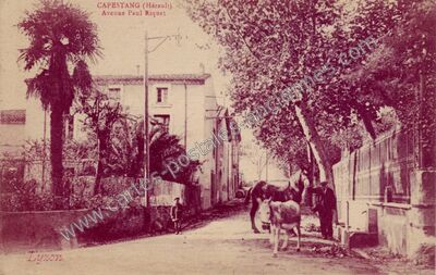 Carte postale ancienne Avenue Paul Riquet — Capestang (Hérault)