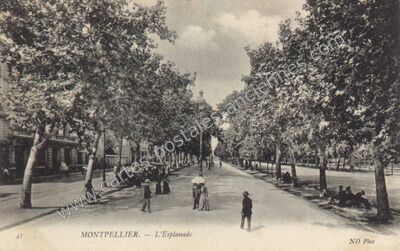 Carte postale ancienne L'Esplanade — Montpellier (Hérault)