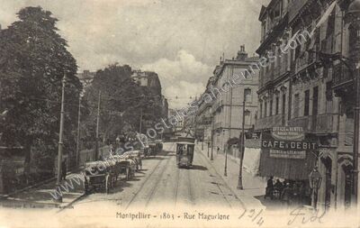 Carte postale ancienne Rue Maguelone — Montpellier (Hérault)
