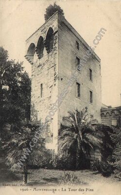 Carte postale ancienne La Tour des Pins — Montpellier (Hérault)