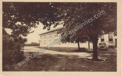 Carte postale ancienne Montpellier — Montpellier (Hérault)
