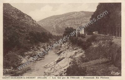 Carte postale ancienne Les Gorges de l'Hérault - Promenade des Platanes — Saint-Guilhem-le-Désert (Hérault)