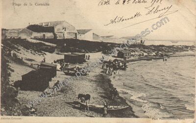 Carte postale ancienne Cette — Sète (Hérault)