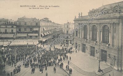 Carte postale ancienne Place de la Comédie / Le Marché aux Vins — Montpellier (Hérault)