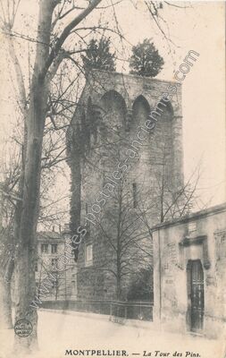 Carte postale ancienne La Tour des Pins — Montpellier (Hérault)