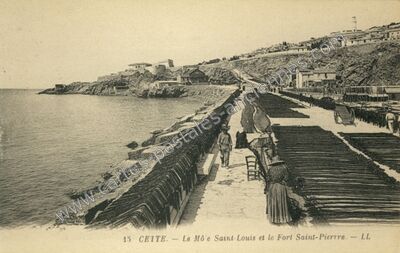 Carte postale ancienne Cette — Sète (Hérault)