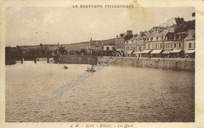 Carte postale ancienne Les Quais — Binic (Côtes-d'Armor)