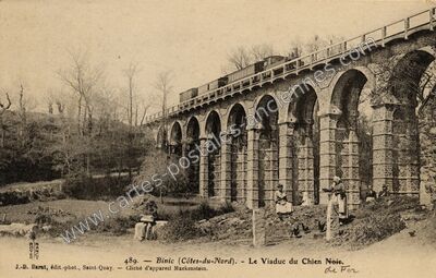 Carte postale ancienne Le Viaduc du Chien Noir — Binic (Côtes-d'Armor)