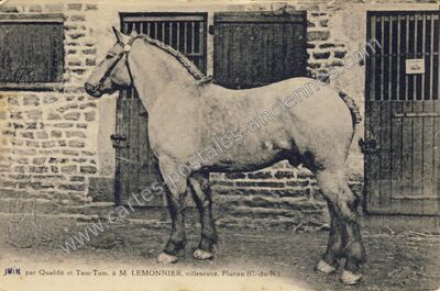 Carte postale ancienne Villeneuve — Plurien (Côtes-d'Armor)