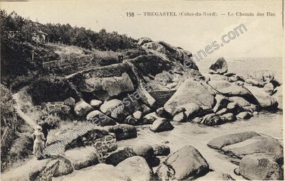 Carte postale ancienne Le Chemin des Iles — Trégastel (Côtes-d'Armor)