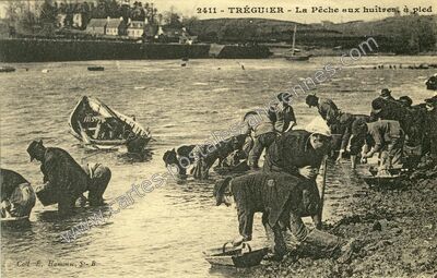 Carte postale ancienne La Pêche aux huîtres, à pied — Tréguier (Côtes-d'Armor)