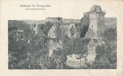 Carte postale ancienne Chateau de Tonquedec — Tonquédec (Côtes-d'Armor)