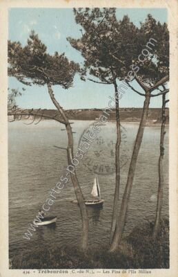 Carte postale ancienne Les Pins de l'Île Millau — Trébeurden (Côtes-d'Armor)