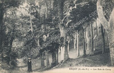 Carte postale ancienne Bois de Cavey — Erquy (Côtes-d'Armor)
