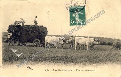 Carte postale ancienne A la Campagne — Non Localisée (Creuse)