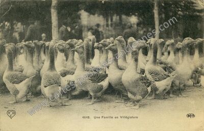 Carte postale ancienne Famille en Villegiature — Non Localisée (Dordogne)