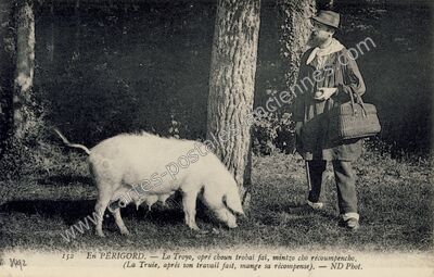Carte postale ancienne En Perigord — Non Localisée (Dordogne)