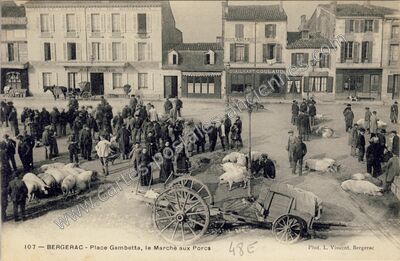 Carte postale ancienne Place Gambetta, le Marché aux Porcs — Bergerac (Dordogne)
