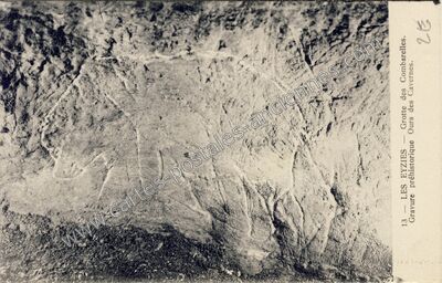 Carte postale ancienne Grotte des Combarelles. Gravure préhistorique Ours des Cavernes — Les Eyzies-de-Tayac-Sireuil (Dordogne)