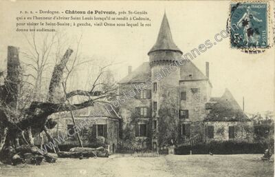 Carte postale ancienne Chateau de Pelvezie — Saint-Geniès (Dordogne)