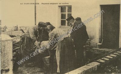 Carte postale ancienne Au Pays Comtois — Non Localisée (Doubs)
