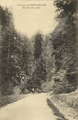 Carte postale ancienne Env de Pontarlier — Non Localisée (Doubs)