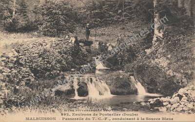 Carte postale ancienne Passerelle du T.-C.-F., conduisant à la Source Bleue — Malbuisson (Doubs)