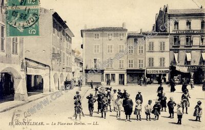 Carte postale ancienne La Place aux Herbes — Montélimar (Drôme)