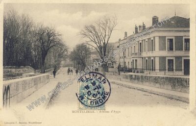 Carte postale ancienne Avenue d'Aygu — Montélimar (Drôme)