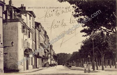 Carte postale ancienne Le Boulevard et les allées — Montélimar (Drôme)