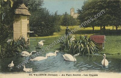 Carte postale ancienne Au Parc Jouvet - Les Cygnes — Valence (Drôme)