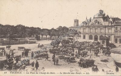 Carte postale ancienne La Place du Champ-de-Mars. — Le Marché aux Bœufs — Valence (Drôme)