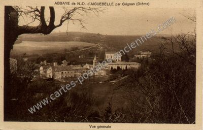 Carte postale ancienne Abbaye d'Aiguebelle — Montjoyer (Drôme)