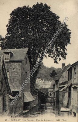 Carte postale ancienne Le Cosnier, Rue de Lisieux — Bernay (Eure)