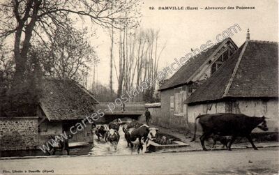 Carte postale ancienne Abreuvoir des Puiseaux — Damville (Eure)