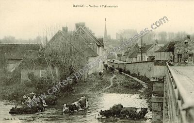 Carte postale ancienne Vaches à l'Abreuvoir — Dangu (Eure)