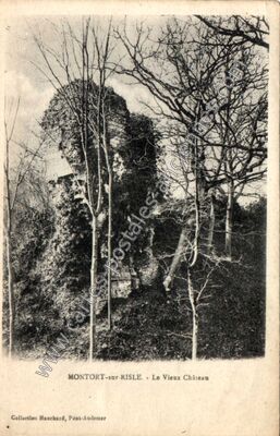 Carte postale ancienne Le Vieux Château — Montfort-sur-Risle (Eure)
