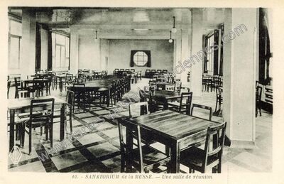 Carte postale ancienne Sanatorium de la Musse — Saint-Sébastien-de-Morsent (Eure)