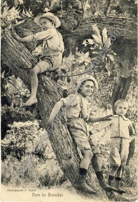 Carte postale ancienne Dans les Branches — Non Localisée (Eure-et-Loir)