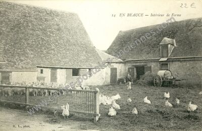 Carte postale ancienne En Beauce — Non Localisée (Eure-et-Loir)
