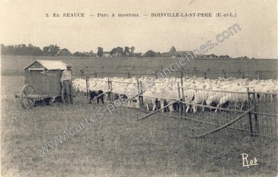 Carte postale ancienne En Beauce - Parc à moutons — Boisville-la-Saint-Père (Eure-et-Loir)
