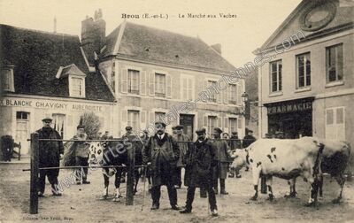 Carte postale ancienne Le Marché aux Vaches — Brou (Eure-et-Loir)